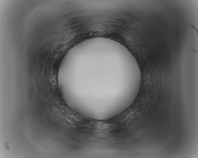 X0000100381109200806271328