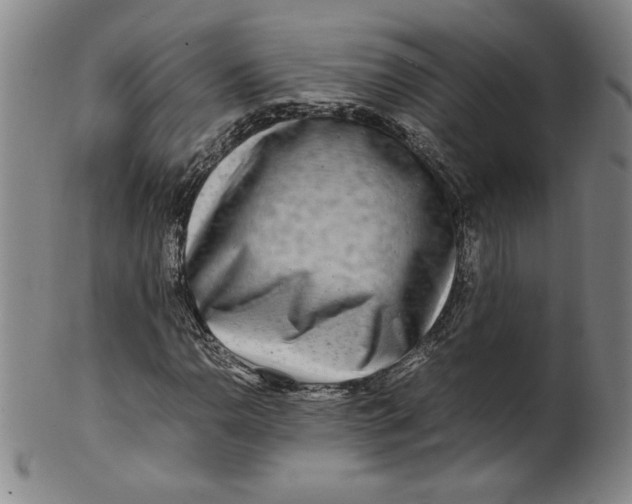 X0000100381110200806271328