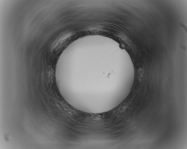 X0000100381111200806271328