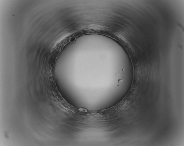 X0000100381112200806271328