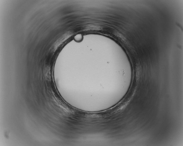 X0000100381113200806271328