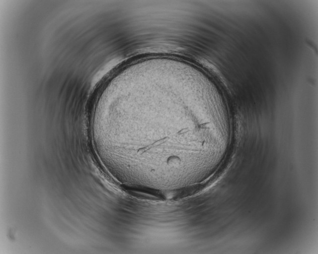 X0000100381114200806271328