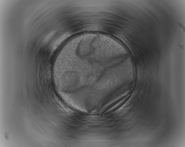 X0000100381115200806271328