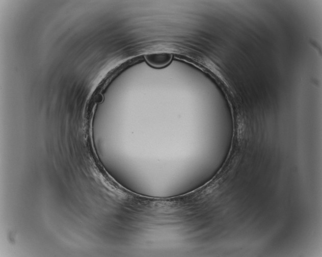 X0000100381116200806271328