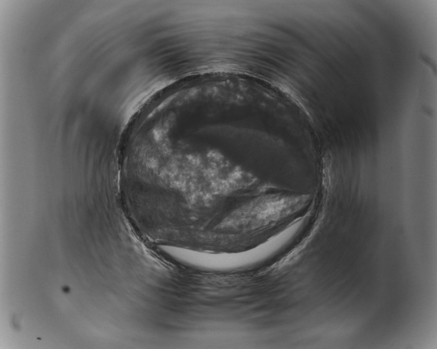 X0000100381117200806271328