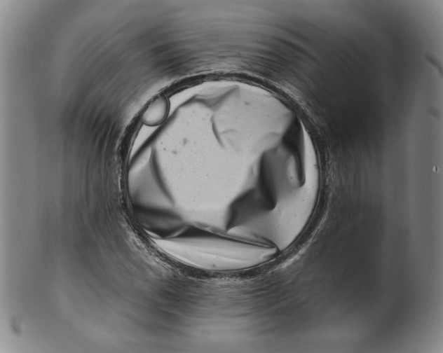 X0000100381118200806271328