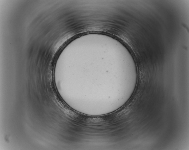 X0000100381119200806271328