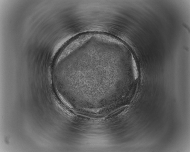 X0000100381120200806271328