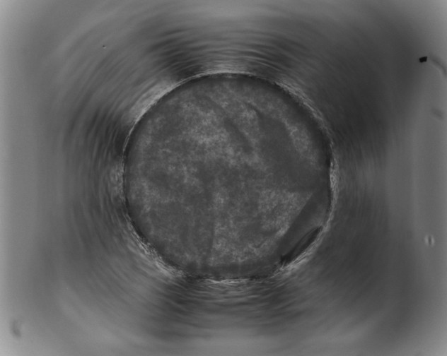 X0000100381121200806271328