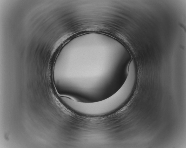 X0000100381122200806271328