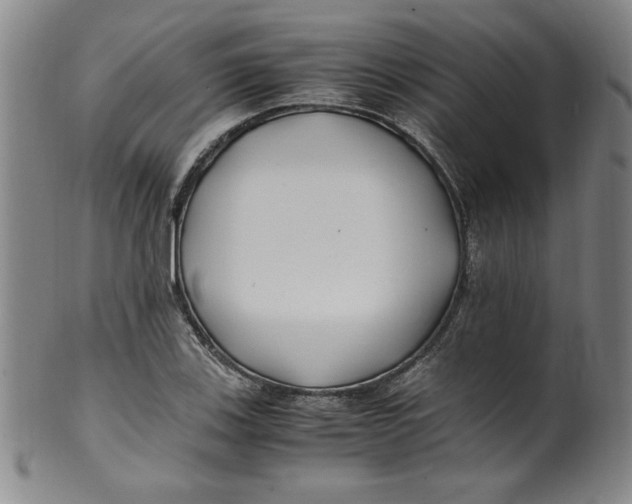 X0000100381123200806271328