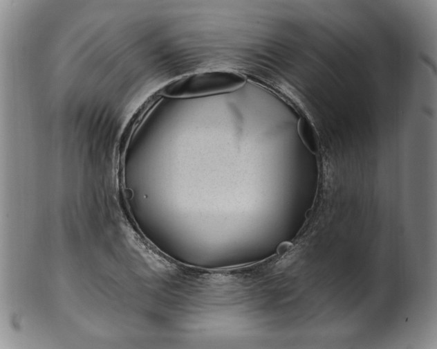 X0000100381124200806271328