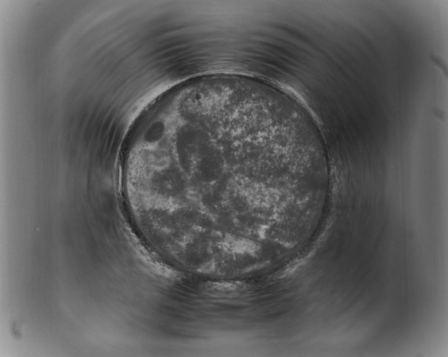 X0000100381125200806271328