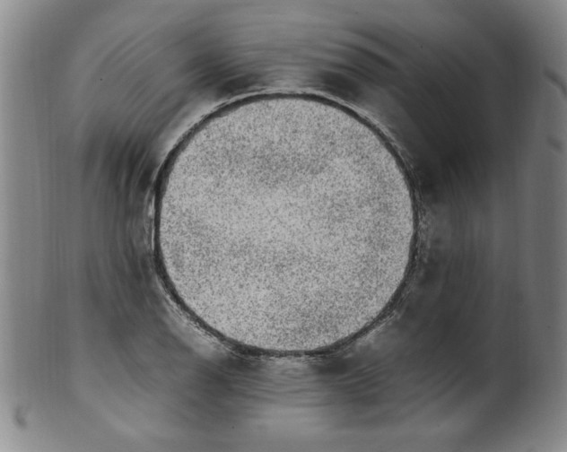 X0000100381126200806271328