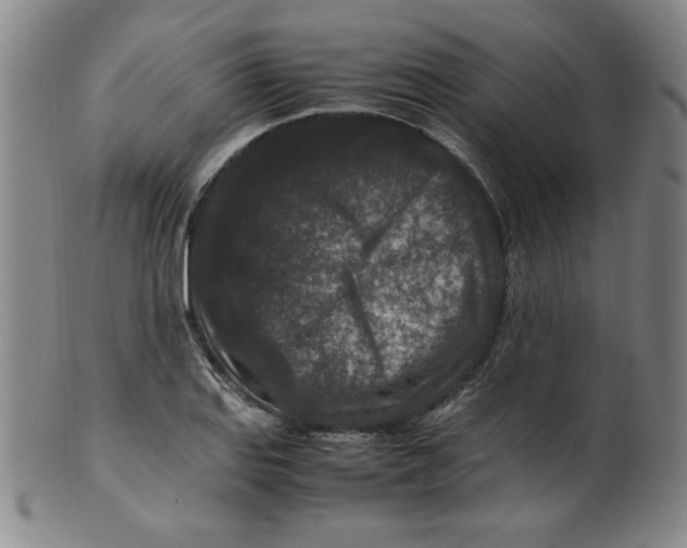 X0000100381127200806271328