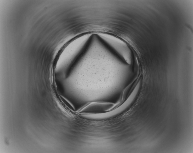 X0000100381128200806271328