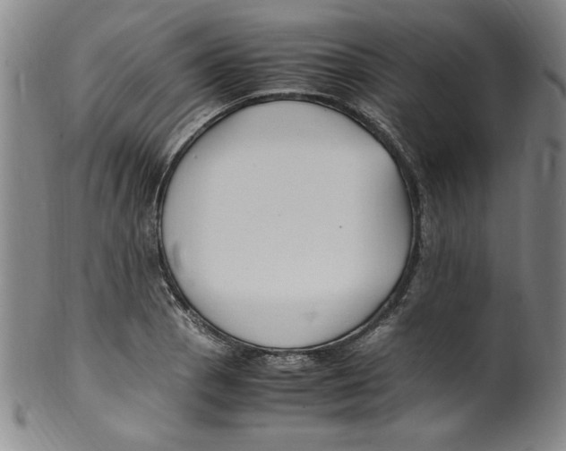 X0000100381129200806271328