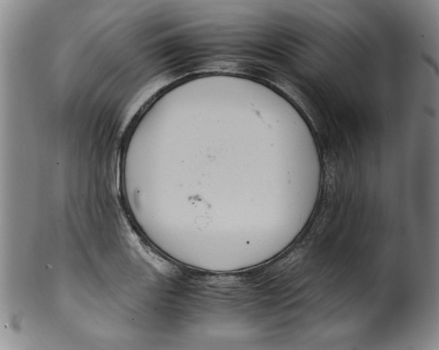 X0000100381131200806271328
