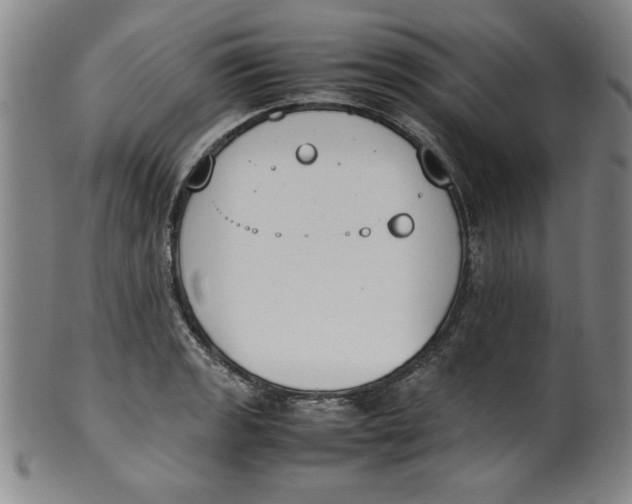 X0000100381133200806271328