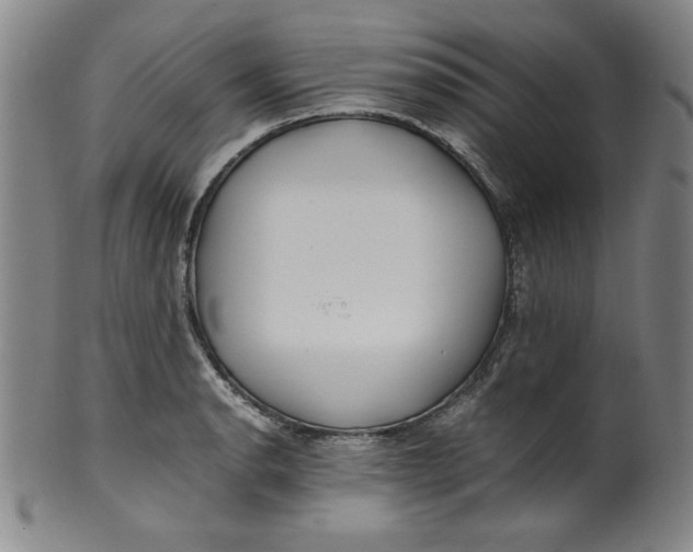 X0000100381134200806271328