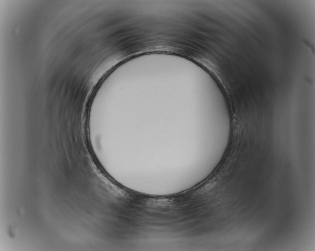 X0000100381135200806271328