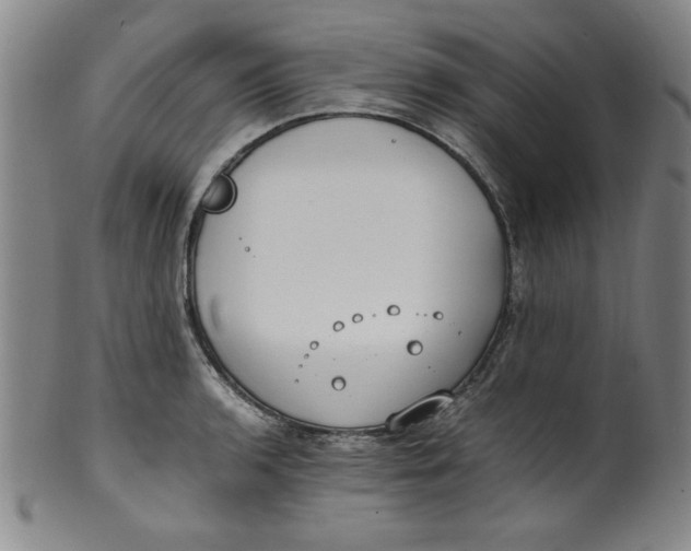 X0000100381136200806271328