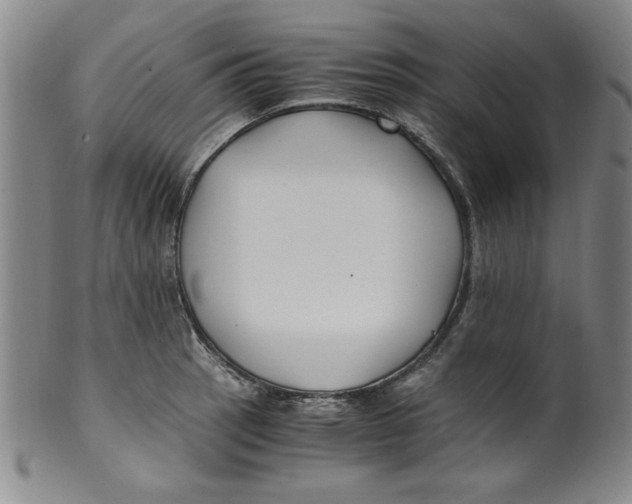 X0000100381137200806271328