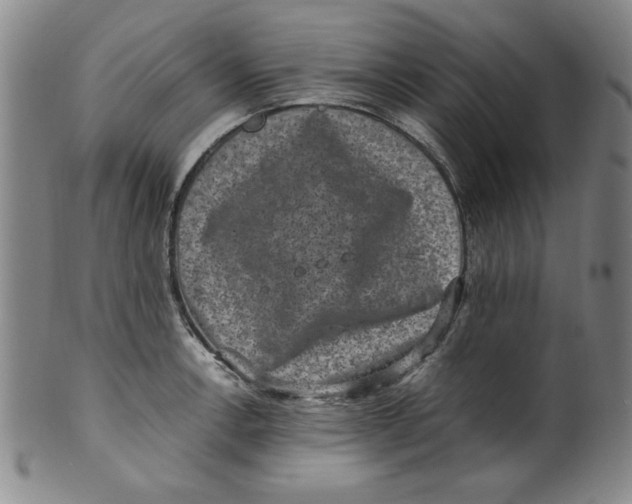 X0000100381138200806271328