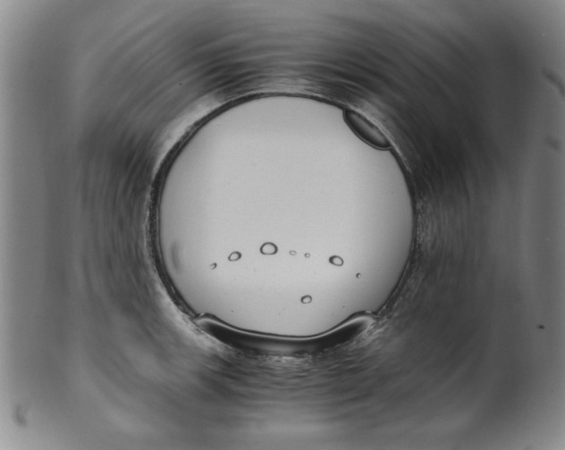 X0000100381139200806271328