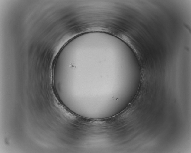 X0000100381140200806271328
