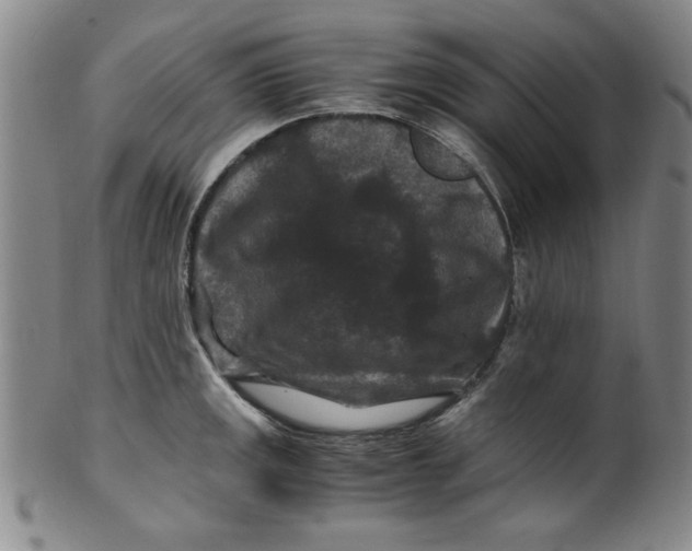 X0000100381141200806271328