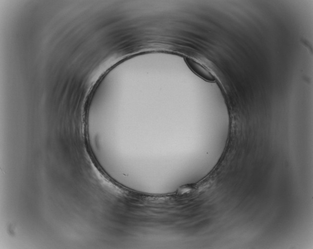 X0000100381143200806271328