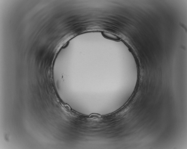 X0000100381145200806271328