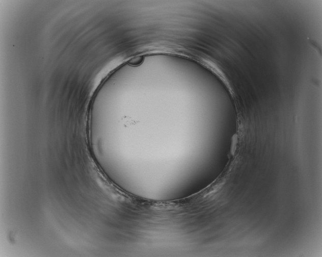 X0000100381146200806271328
