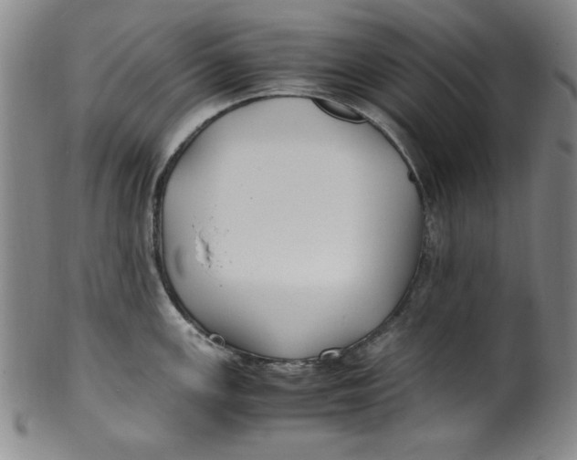 X0000100381147200806271328