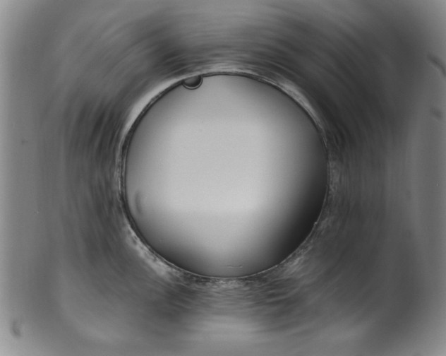 X0000100381148200806271328