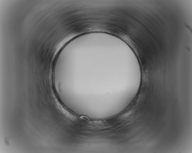 X0000100381149200806271328