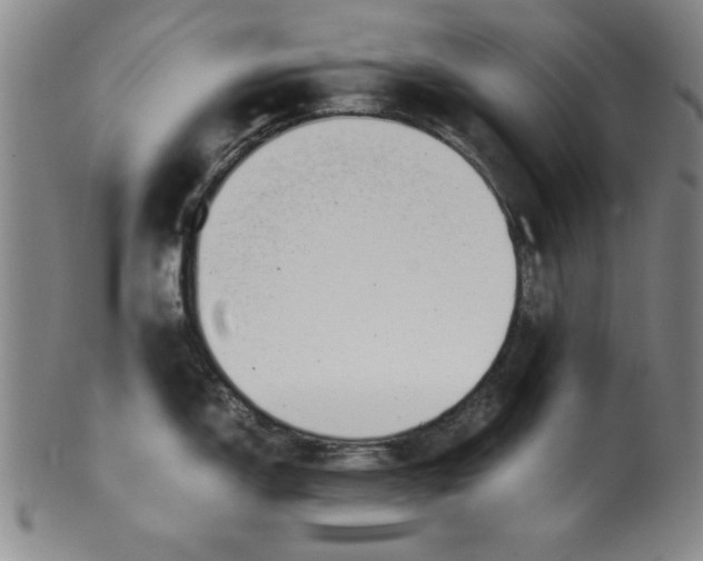 X0000100381150200806271328