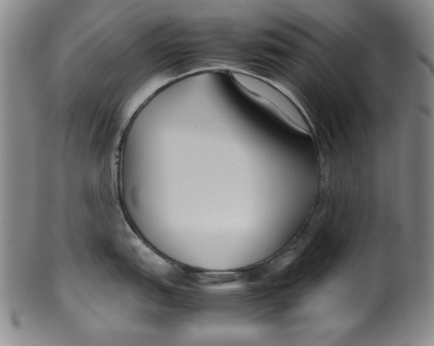 X0000100381151200806271328