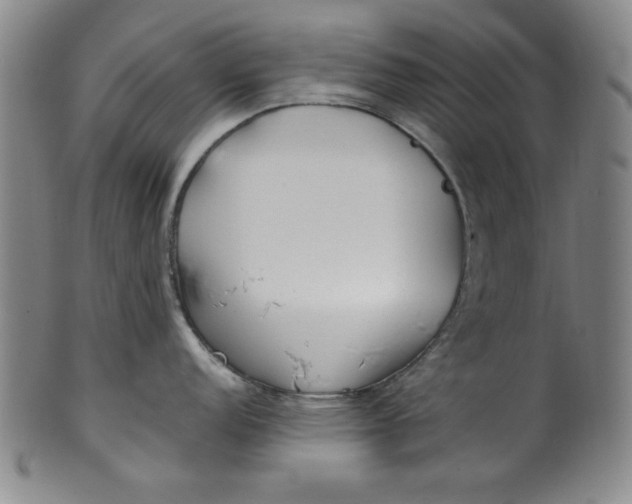 X0000100381152200806271328