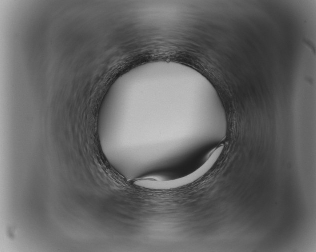 X0000100381153200806271327