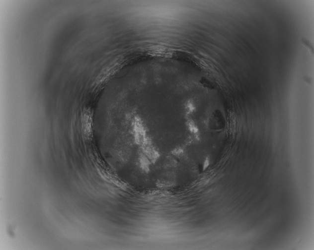 X0000100381154200806271327