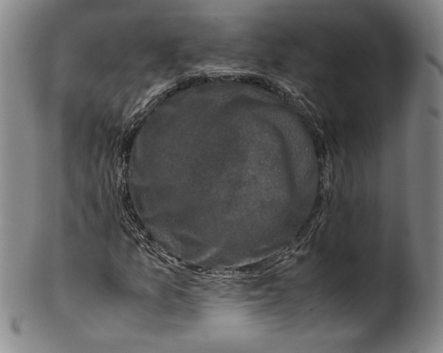 X0000100381157200806271327