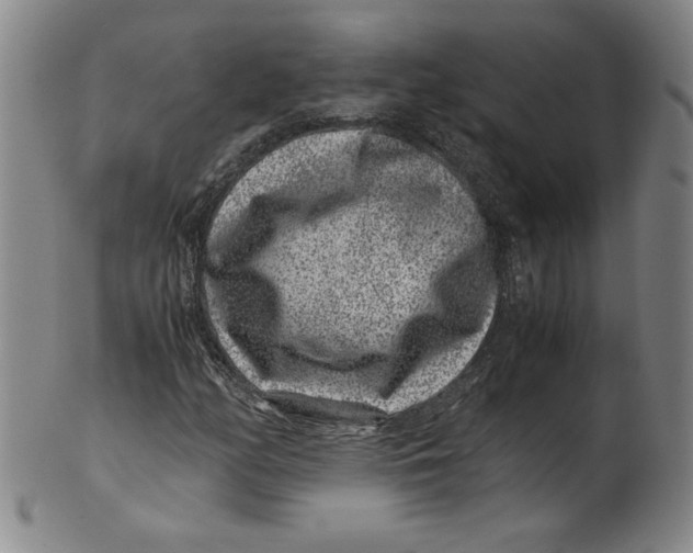 X0000100381158200806271327