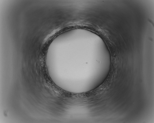 X0000100381159200806271327