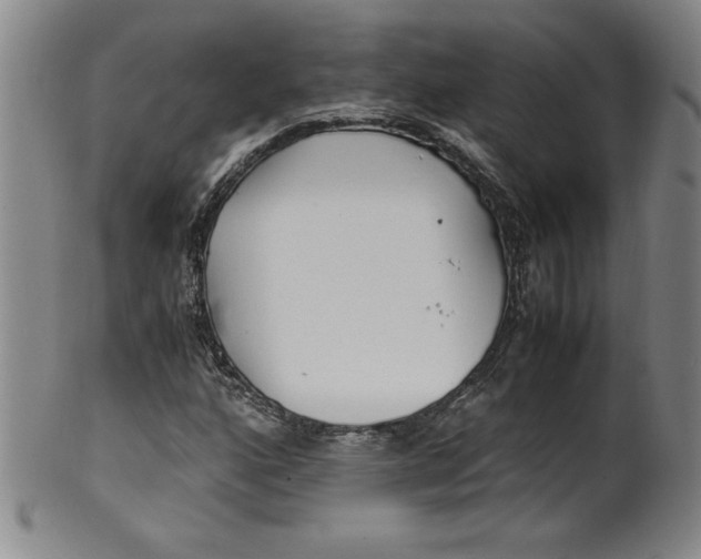 X0000100381160200806271327