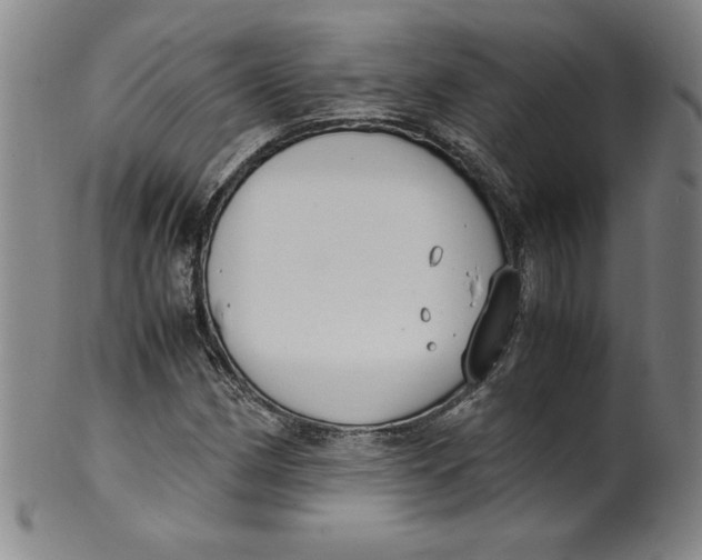 X0000100381162200806271327