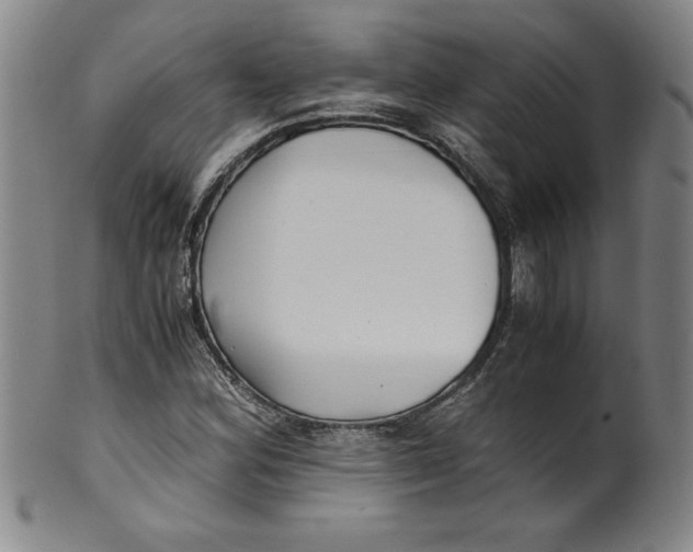 X0000100381164200806271327