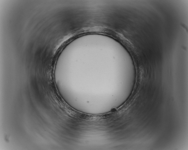 X0000100381166200806271327