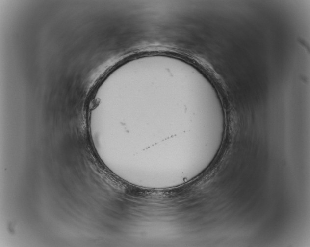 X0000100381167200806271327